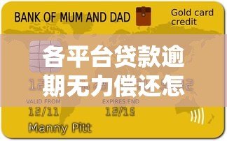 各平台贷款逾期无力偿还怎么办？实用解决指南