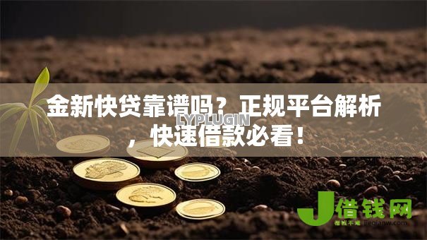金新快贷靠谱吗?正规平台解析,快速借款必看! 金新快贷靠谱吗?正规平台解析,快速借款必看!