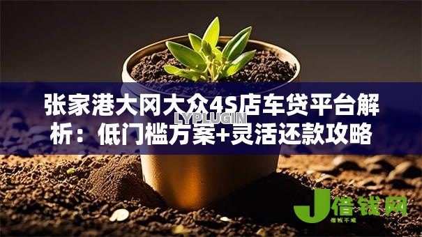 张家港大冈大众4S店车贷平台解析：低门槛方案+灵活还款攻略