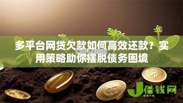 多平台网贷欠款如何高效还款？实用策略助你摆脱债务困境
