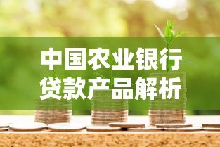 中国农业银行贷款产品解析及申请指南 中国农业银行贷款产品解析及申请指南
