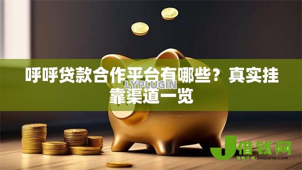 呼呼贷款合作平台有哪些？真实挂靠渠道一览