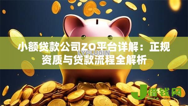 小额贷款公司ZO平台详解:正规资质与贷款流程全解析 小额贷款公司ZO平台详解:正规资质与贷款流程全解析