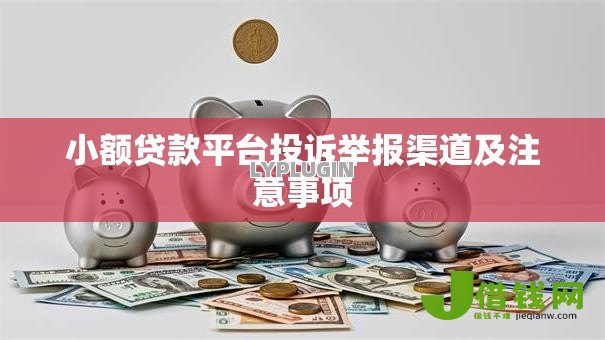 小额贷款平台投诉举报渠道及注意事项 小额贷款平台投诉举报渠道及注意事项
