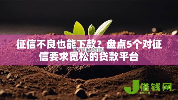 征信不良也能下款?盘点5个对征信要求宽松的贷款平台 征信不良也能下款?盘点5个对征信要求宽松的贷款平台