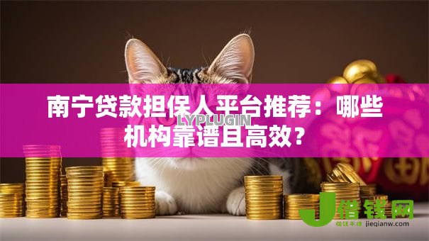 南宁贷款担保人平台推荐：哪些机构靠谱且高效？
