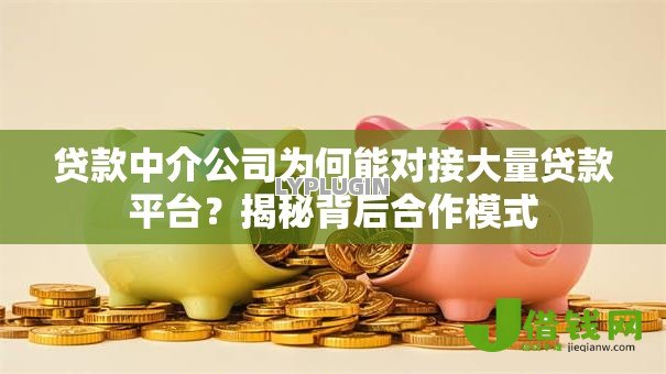 贷款中介公司为何能对接大量贷款平台?揭秘背后合作模式 贷款中介公司为何能对接大量贷款平台?揭秘背后合作模式