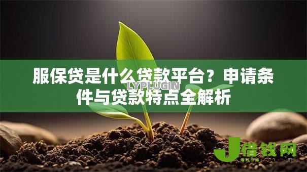 服保贷是什么贷款平台?申请条件与贷款特点全解析 服保贷是什么贷款平台?申请条件与贷款特点全解析