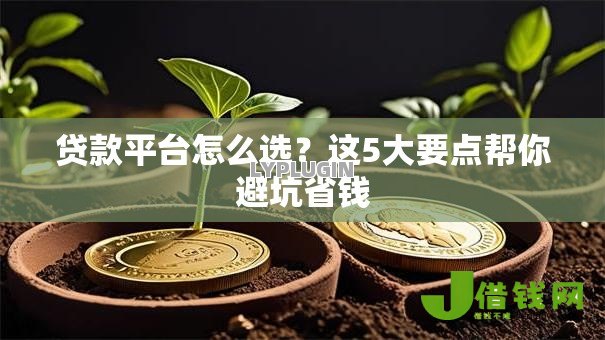贷款平台怎么选?这5大要点帮你避坑省钱 贷款平台怎么选?这5大要点帮你避坑省钱
