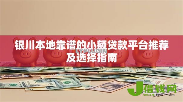 银川本地靠谱的小额贷款平台推荐及选择指南 银川本地靠谱的小额贷款平台推荐及选择指南