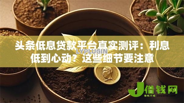 头条低息贷款平台真实测评:利息低到心动?这些细节要注意 头条低息贷款平台真实测评:利息低到心动?这些细节要注意