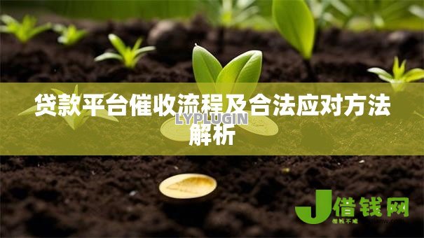 贷款平台催收流程及合法应对方法解析