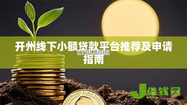 开州线下小额贷款平台推荐及申请指南