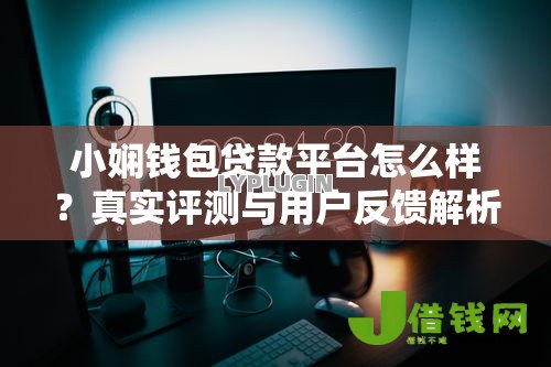 小娴钱包贷款平台怎么样?真实评测与用户反馈解析 小娴钱包贷款平台怎么样?真实评测与用户反馈解析