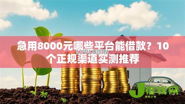 急用8000元哪些平台能借款?10个正规渠道实测推荐 急用8000元哪些平台能借款?10个正规渠道实测推荐