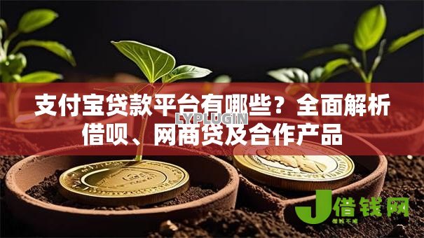支付宝贷款平台有哪些？全面解析借呗、网商贷及合作产品
