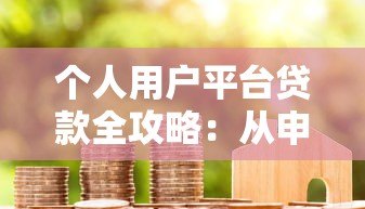 个人用户平台贷款全攻略:从申请到还款的实用指南 个人用户平台贷款全攻略:从申请到还款的实用指南