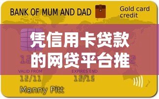 凭信用卡贷款的网贷平台推荐及申请全攻略