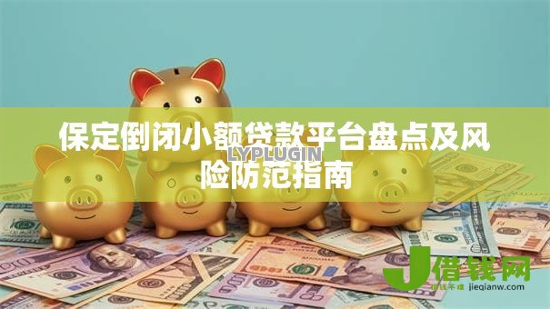 保定倒闭小额贷款平台盘点及风险防范指南 保定倒闭小额贷款平台盘点及风险防范指南