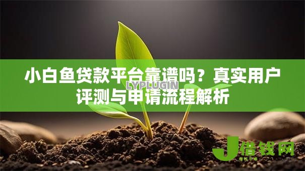 小白鱼贷款平台靠谱吗？真实用户评测与申请流程解析