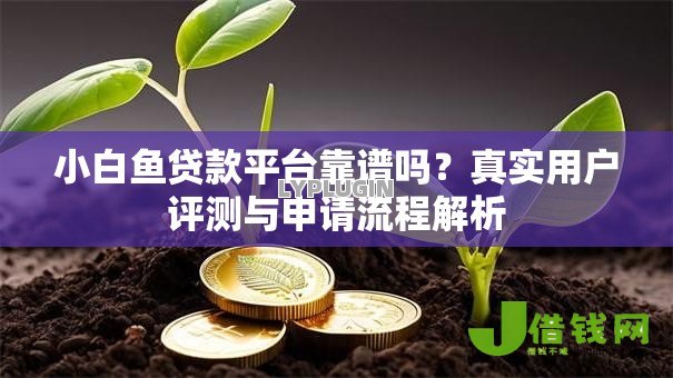 小白鱼贷款平台靠谱吗？真实用户评测与申请流程解析