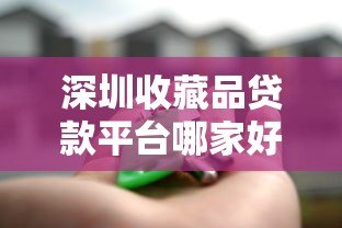 深圳收藏品贷款平台哪家好？抵押流程与风险全解析