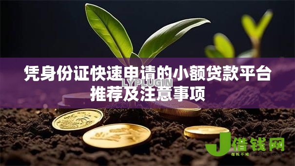 凭身份证快速申请的小额贷款平台推荐及注意事项 凭身份证快速申请的小额贷款平台推荐及注意事项