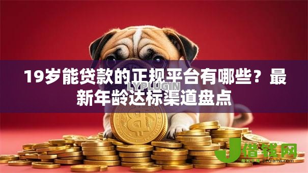 19岁能贷款的正规平台有哪些？最新年龄达标渠道盘点