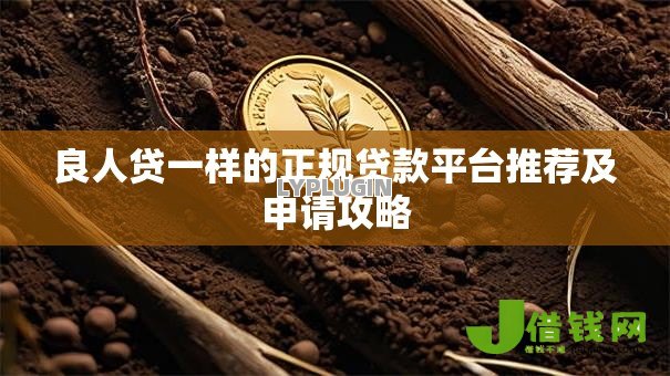 良人贷一样的正规贷款平台推荐及申请攻略