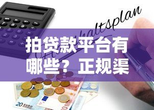 拍贷款平台有哪些?正规渠道解析及申请指南 拍贷款平台有哪些?正规渠道解析及申请指南