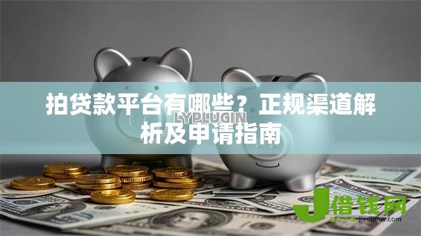 拍贷款平台有哪些?正规渠道解析及申请指南 拍贷款平台有哪些?正规渠道解析及申请指南