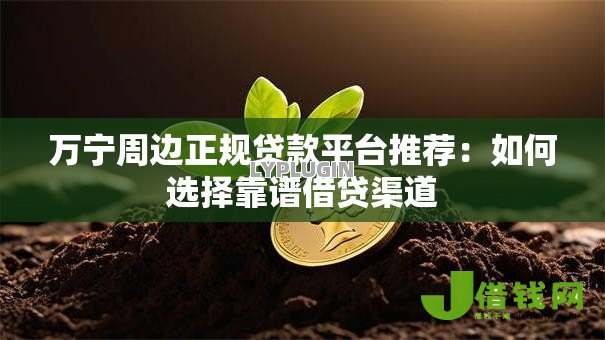 万宁周边正规贷款平台推荐:如何选择靠谱借贷渠道 万宁周边正规贷款平台推荐:如何选择靠谱借贷渠道