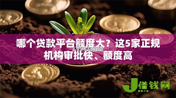 哪个贷款平台额度大?这5家正规机构审批快、额度高 哪个贷款平台额度大?这5家正规机构审批快、额度高
