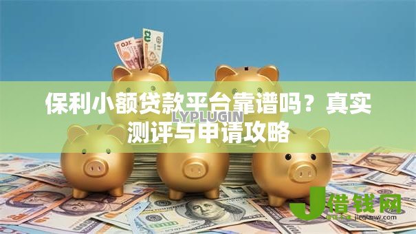 保利小额贷款平台靠谱吗?真实测评与申请攻略 保利小额贷款平台靠谱吗?真实测评与申请攻略