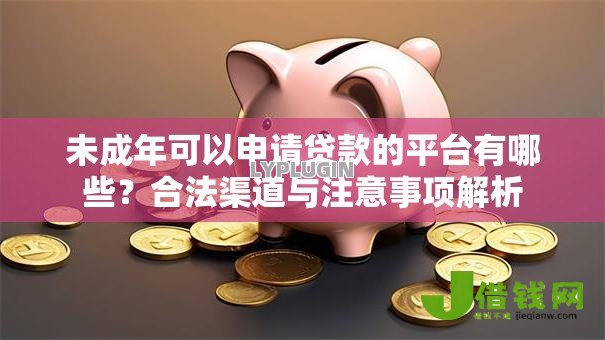 未成年可以申请贷款的平台有哪些？合法渠道与注意事项解析