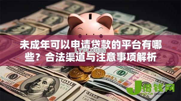 未成年可以申请贷款的平台有哪些？合法渠道与注意事项解析