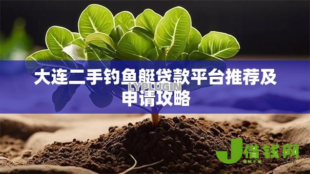 大连二手钓鱼艇贷款平台推荐及申请攻略 大连二手钓鱼艇贷款平台推荐及申请攻略