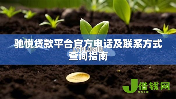 驰悦贷款平台官方电话及联系方式查询指南