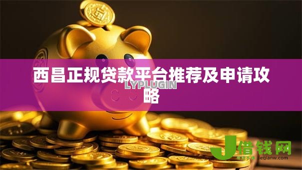 西昌正规贷款平台推荐及申请攻略