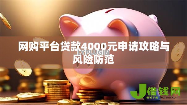 网购平台贷款4000元申请攻略与风险防范