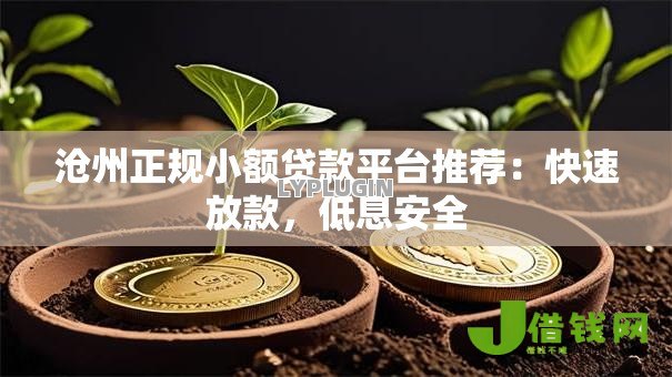 沧州正规小额贷款平台推荐:快速放款,低息安全 沧州正规小额贷款平台推荐:快速放款,低息安全