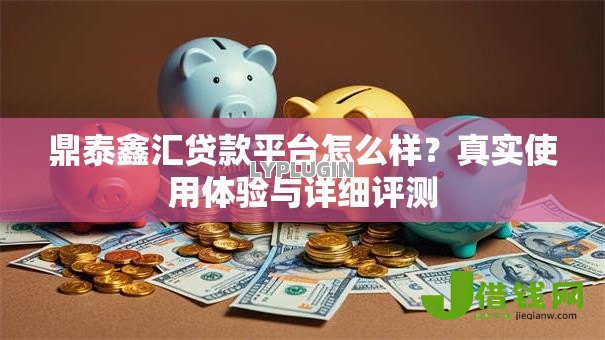 鼎泰鑫汇贷款平台怎么样?真实使用体验与详细评测 鼎泰鑫汇贷款平台怎么样?真实使用体验与详细评测