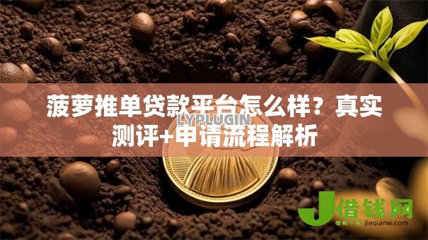 菠萝推单贷款平台怎么样?真实测评+申请流程解析 菠萝推单贷款平台怎么样?真实测评+申请流程解析
