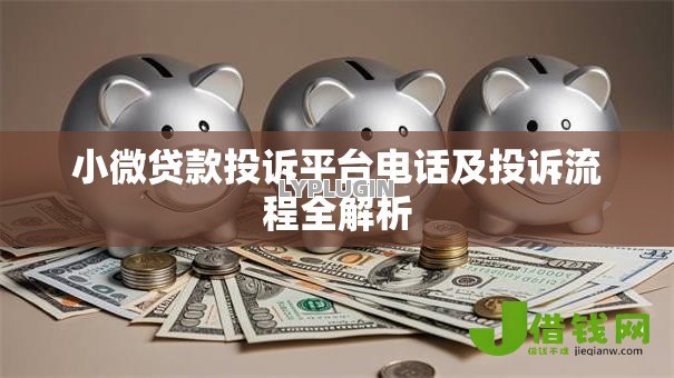 小微贷款投诉平台电话及投诉流程全解析 小微贷款投诉平台电话及投诉流程全解析