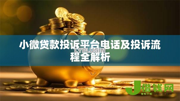 小微贷款投诉平台电话及投诉流程全解析 小微贷款投诉平台电话及投诉流程全解析