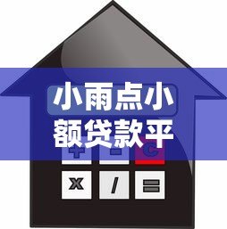 小雨点小额贷款平台：申请条件、利率及使用体验全解析