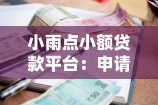 小雨点小额贷款平台：申请条件、利率及使用体验全解析