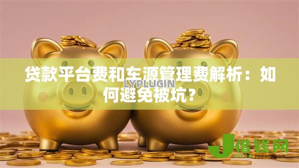 贷款平台费和车源管理费解析：如何避免被坑？