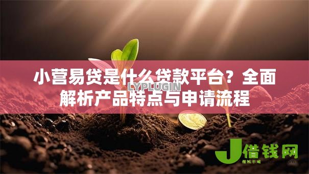 小营易贷是什么贷款平台？全面解析产品特点与申请流程